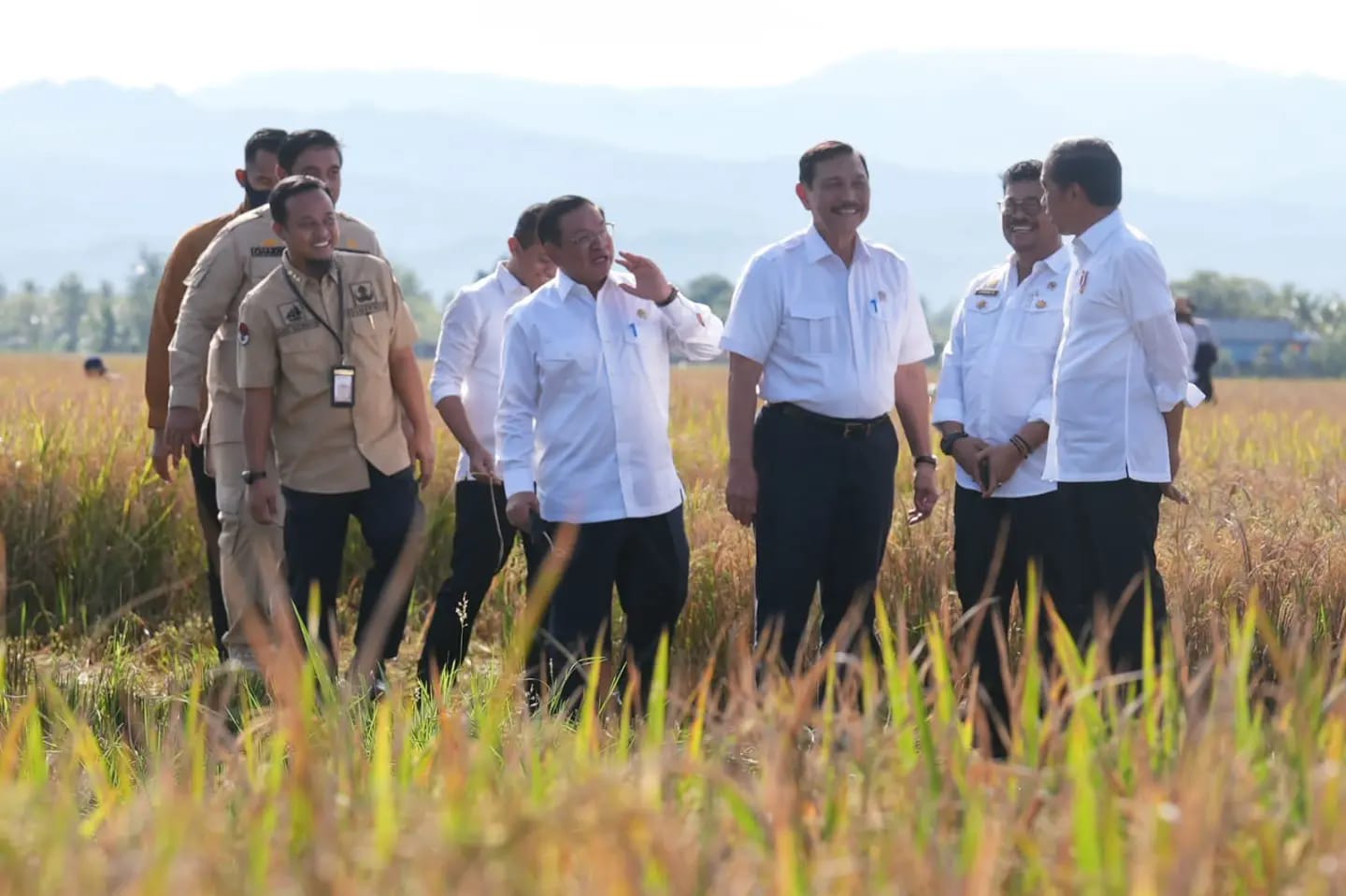 Dampingi Jokowi Panen Raya di Maros Baru, Andi Sudirman: Kita Terus Berusaha Jaga Ketahanan Pangan